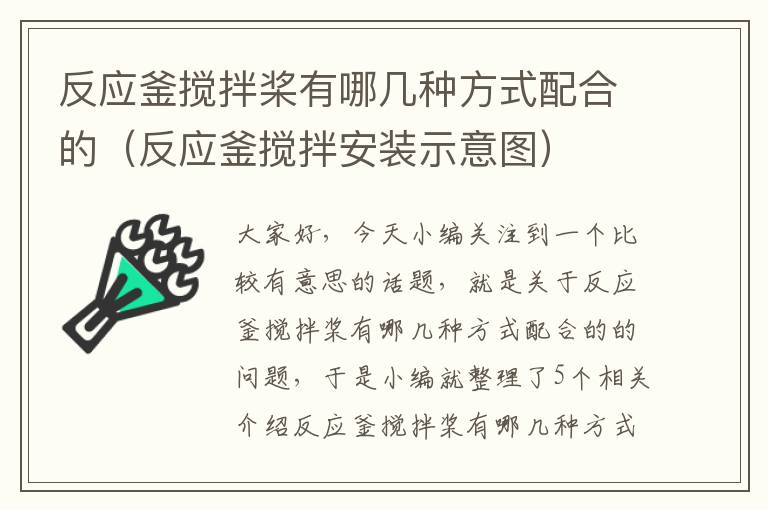 反应釜搅拌桨有哪几种方式配合的（反应釜搅拌安装示意图）