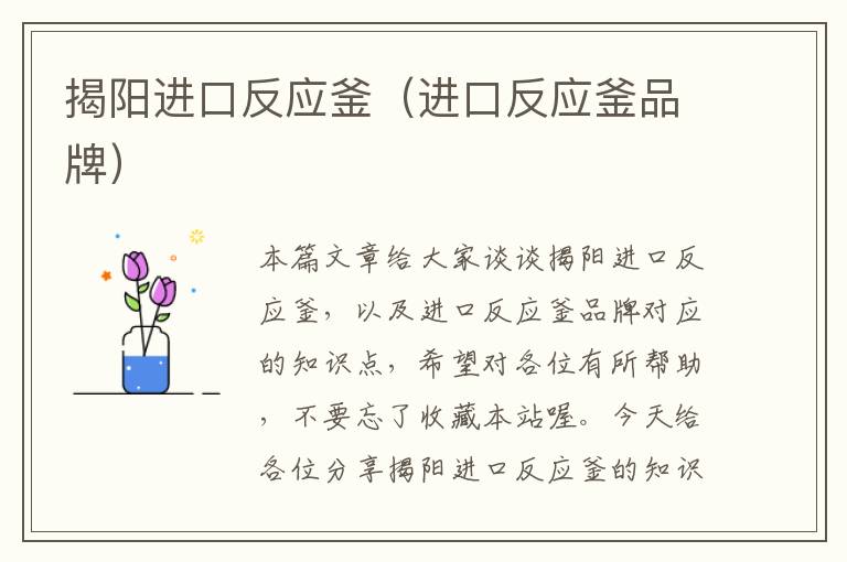 揭阳进口反应釜（进口反应釜品牌）