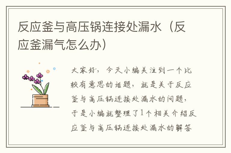 反应釜与高压锅连接处漏水（反应釜漏气怎么办）