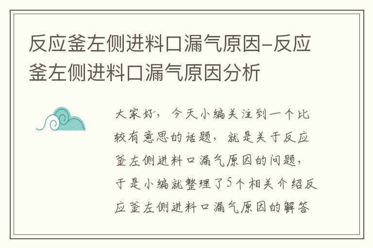 反应釜左侧进料口漏气原因-反应釜左侧进料口漏气原因分析