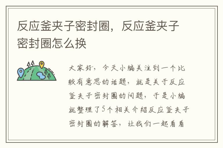 反应釜夹子密封圈，反应釜夹子密封圈怎么换