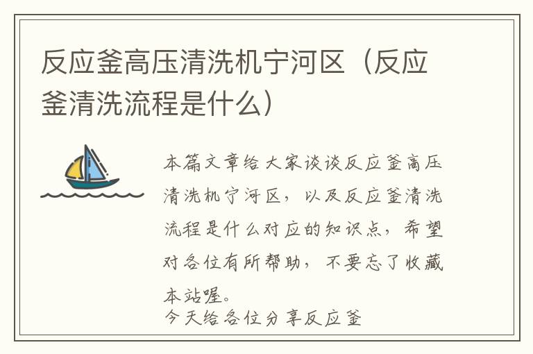 反应釜高压清洗机宁河区（反应釜清洗流程是什么）