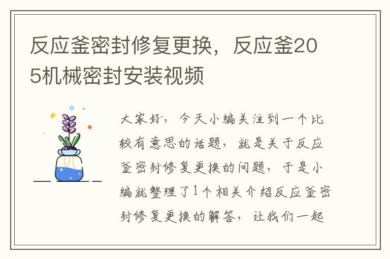 反应釜密封修复更换，反应釜205机械密封安装视频