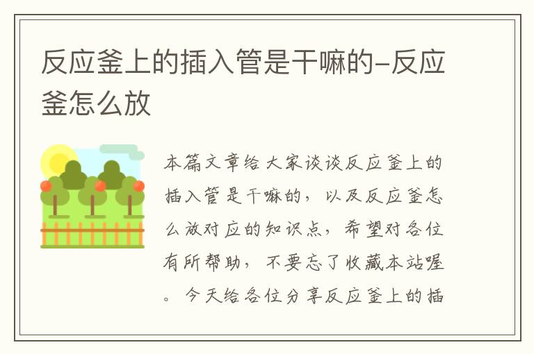 反应釜上的插入管是干嘛的-反应釜怎么放