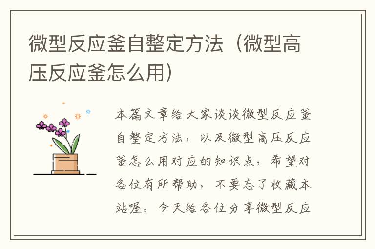 微型反应釜自整定方法（微型高压反应釜怎么用）