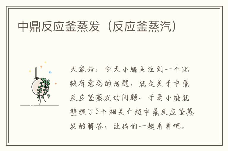 中鼎反应釜蒸发（反应釜蒸汽）