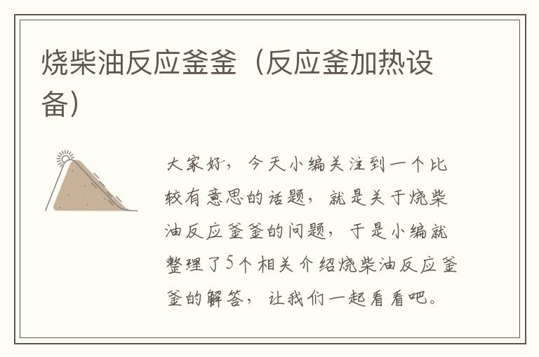 烧柴油反应釜釜（反应釜加热设备）