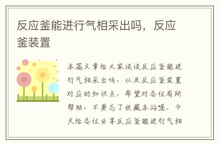 反应釜能进行气相采出吗，反应釜装置