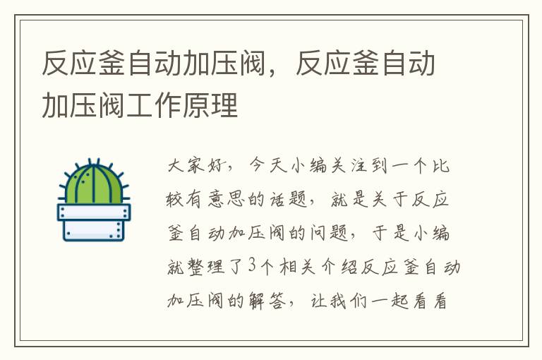 反应釜自动加压阀，反应釜自动加压阀工作原理