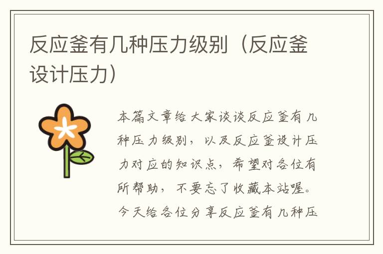 反应釜有几种压力级别（反应釜设计压力）