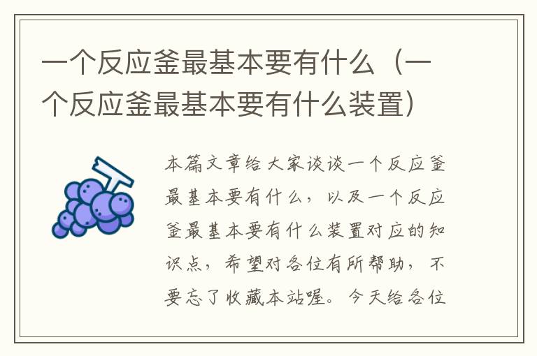 一个反应釜最基本要有什么（一个反应釜最基本要有什么装置）