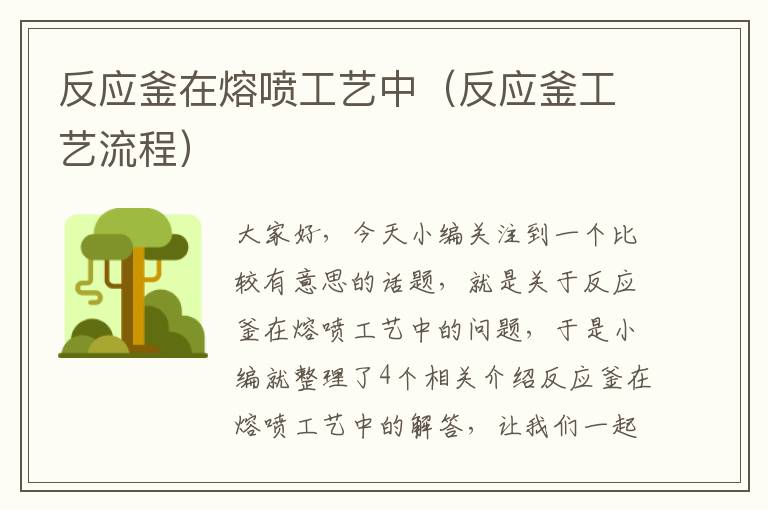 反应釜在熔喷工艺中（反应釜工艺流程）