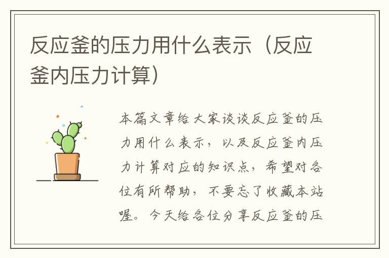 反应釜的压力用什么表示（反应釜内压力计算）