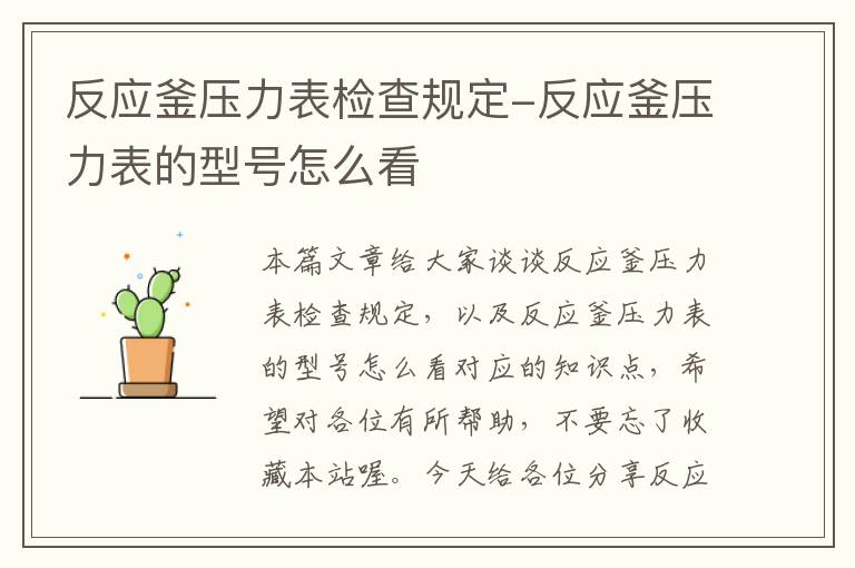 反应釜压力表检查规定-反应釜压力表的型号怎么看