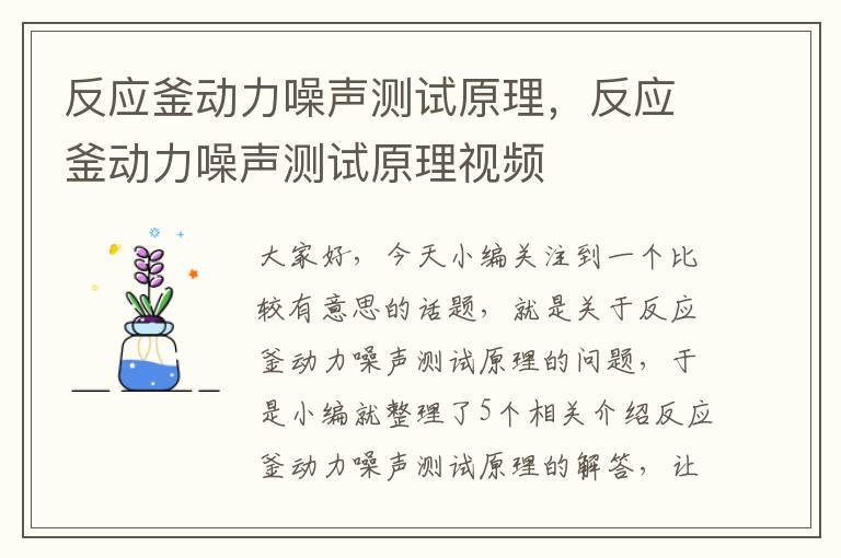 反应釜动力噪声测试原理，反应釜动力噪声测试原理视频