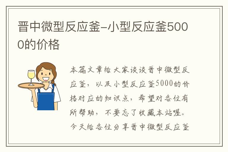 晋中微型反应釜-小型反应釜5000的价格