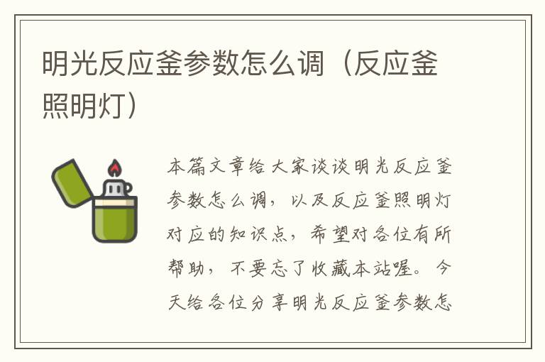 明光反应釜参数怎么调（反应釜照明灯）