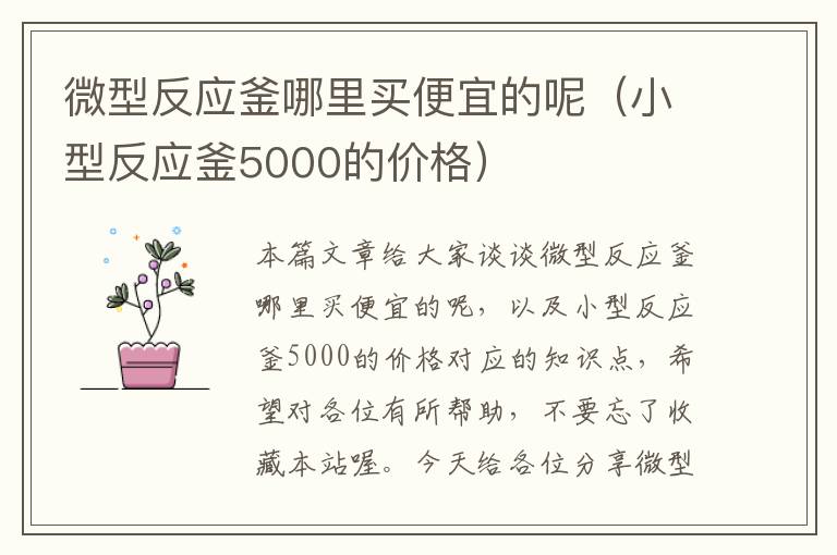 微型反应釜哪里买便宜的呢（小型反应釜5000的价格）