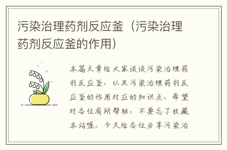 污染治理药剂反应釜（污染治理药剂反应釜的作用）