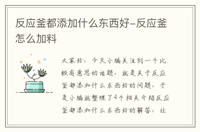 反应釜都添加什么东西好-反应釜怎么加料