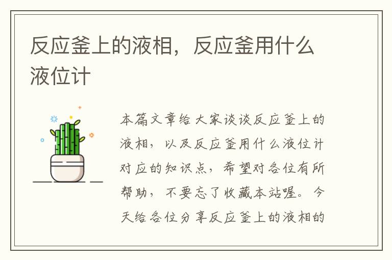 反应釜上的液相，反应釜用什么液位计