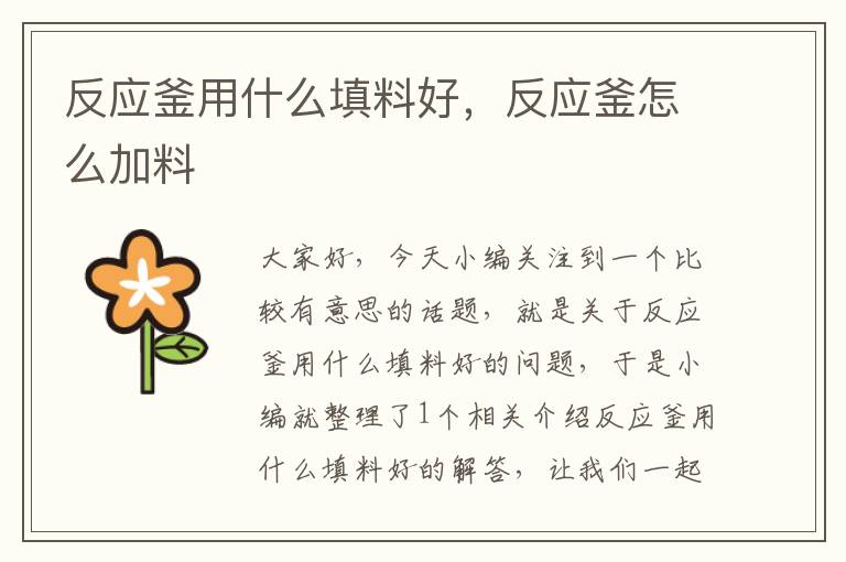 反应釜用什么填料好，反应釜怎么加料