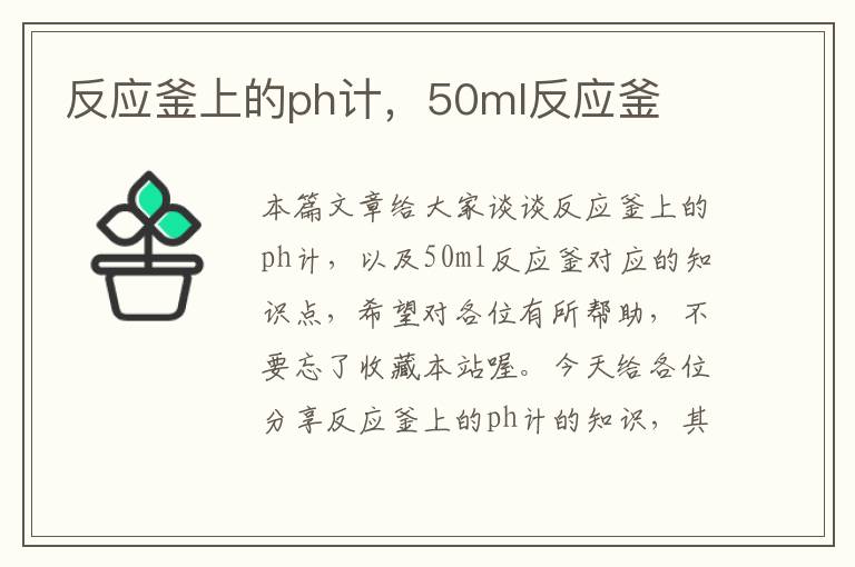 反应釜上的ph计，50ml反应釜