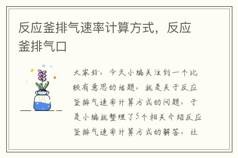 反应釜排气速率计算方式，反应釜排气口