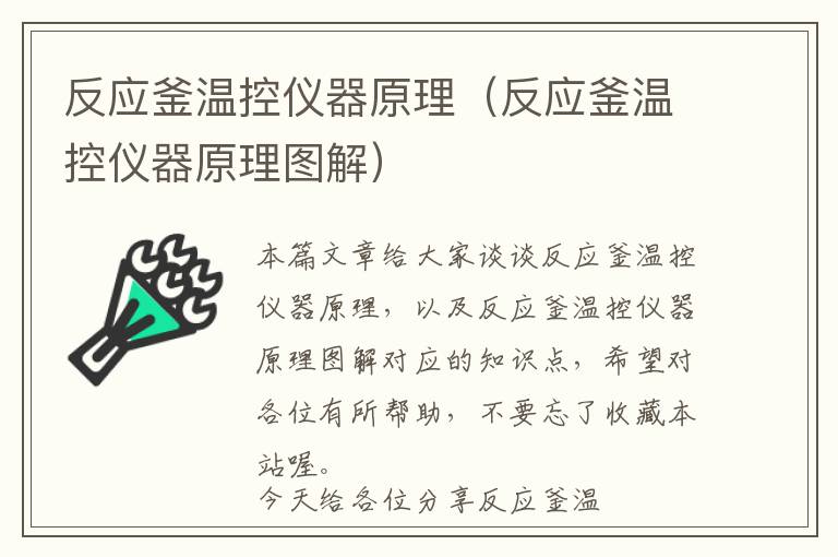 反应釜温控仪器原理（反应釜温控仪器原理图解）