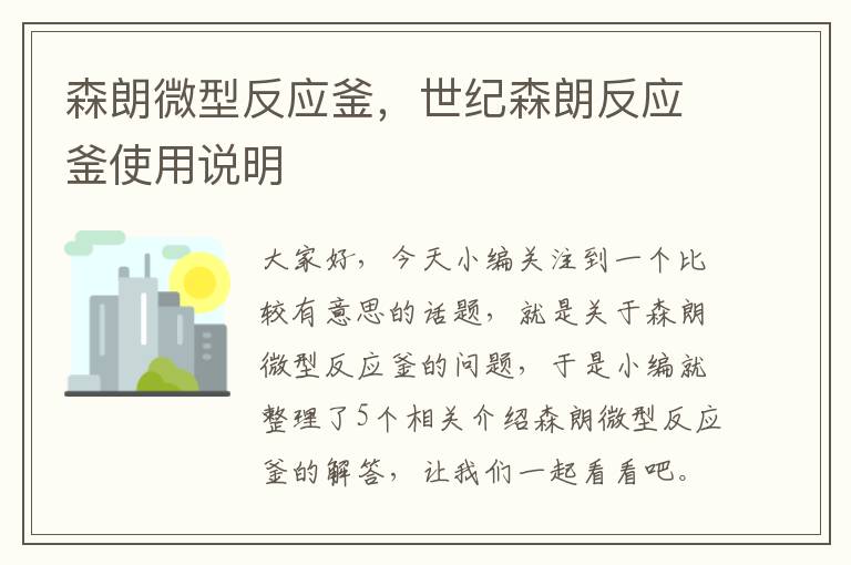 森朗微型反应釜，世纪森朗反应釜使用说明