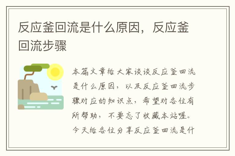 反应釜回流是什么原因，反应釜回流步骤