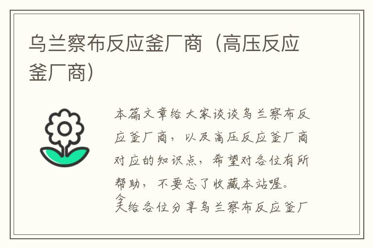 乌兰察布反应釜厂商（高压反应釜厂商）