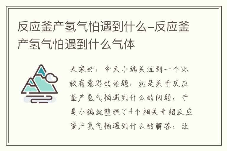 反应釜产氢气怕遇到什么-反应釜产氢气怕遇到什么气体