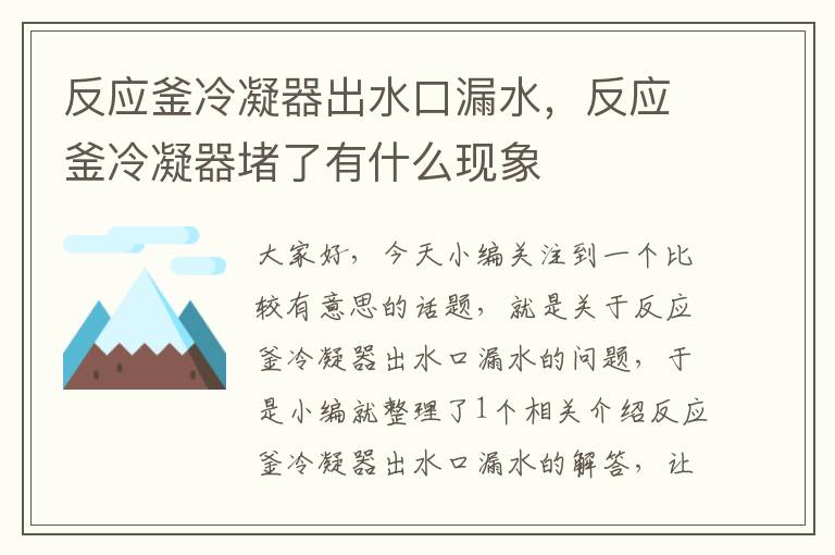 反应釜冷凝器出水口漏水，反应釜冷凝器堵了有什么现象