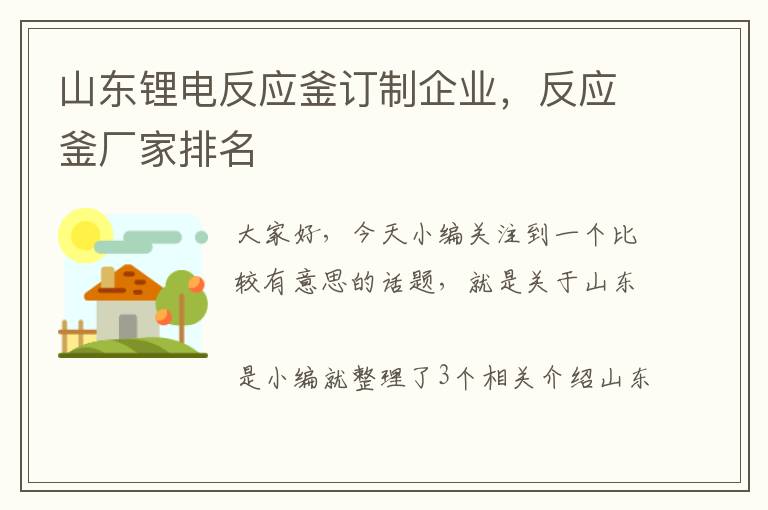 山东锂电反应釜订制企业，反应釜厂家排名