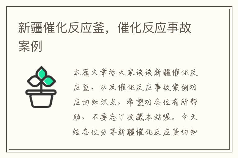 新疆催化反应釜，催化反应事故案例