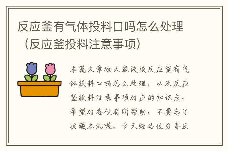 反应釜有气体投料口吗怎么处理（反应釜投料注意事项）