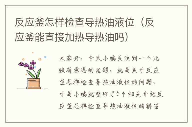 反应釜怎样检查导热油液位（反应釜能直接加热导热油吗）