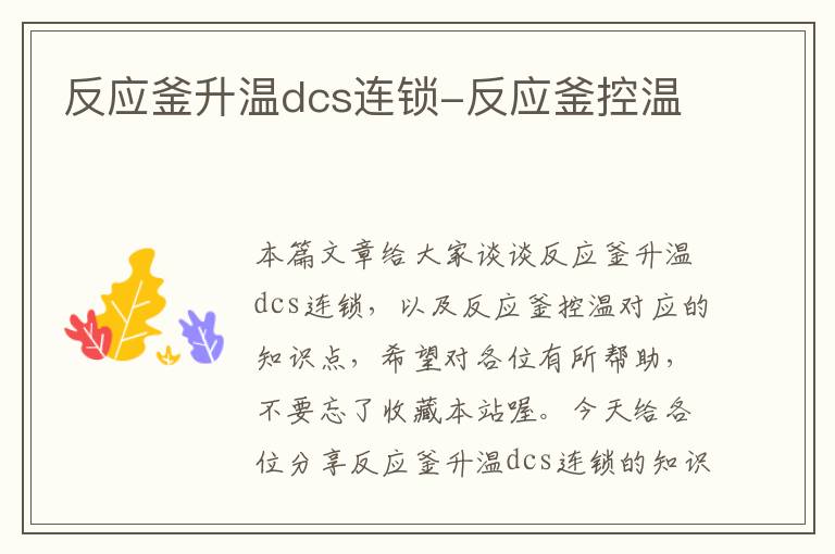 反应釜升温dcs连锁-反应釜控温