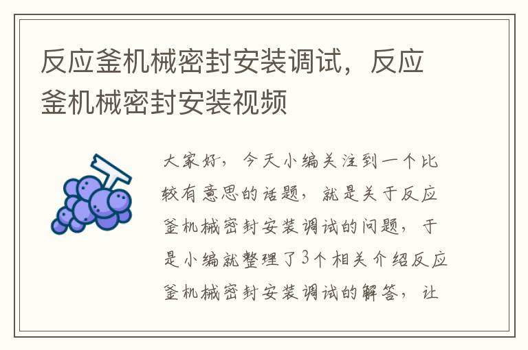 反应釜机械密封安装调试，反应釜机械密封安装视频