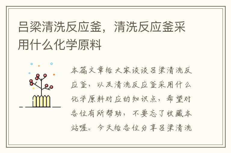 吕梁清洗反应釜，清洗反应釜采用什么化学原料