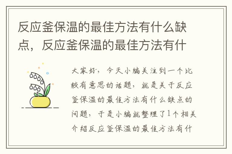 反应釜保温的最佳方法有什么缺点，反应釜保温的最佳方法有什么缺点和不足