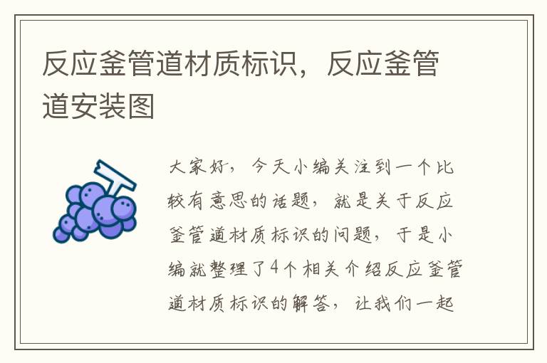 反应釜管道材质标识，反应釜管道安装图