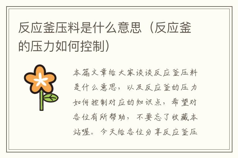 反应釜压料是什么意思（反应釜的压力如何控制）