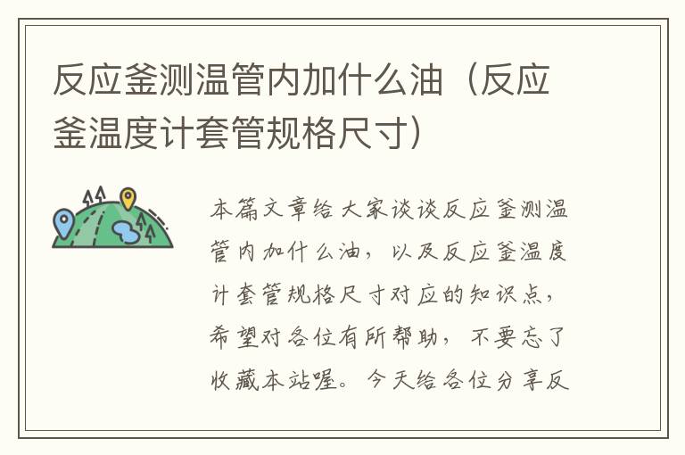 反应釜测温管内加什么油（反应釜温度计套管规格尺寸）