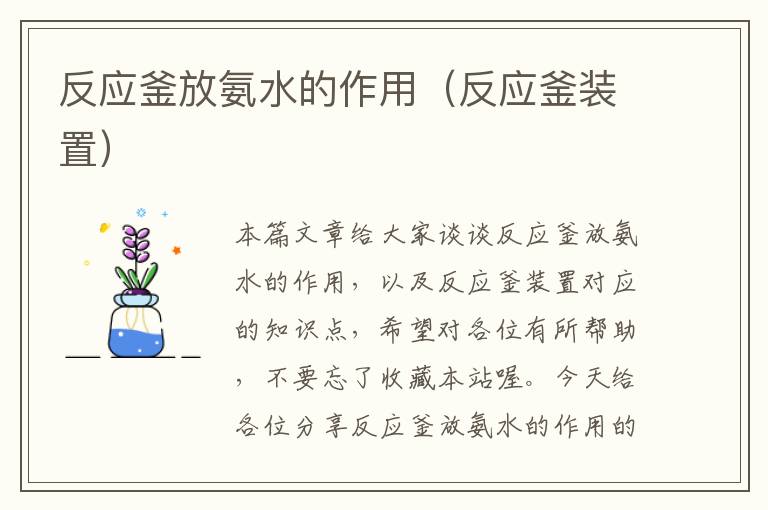 反应釜放氨水的作用（反应釜装置）