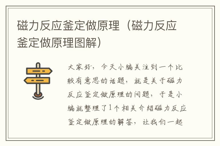 磁力反应釜定做原理（磁力反应釜定做原理图解）