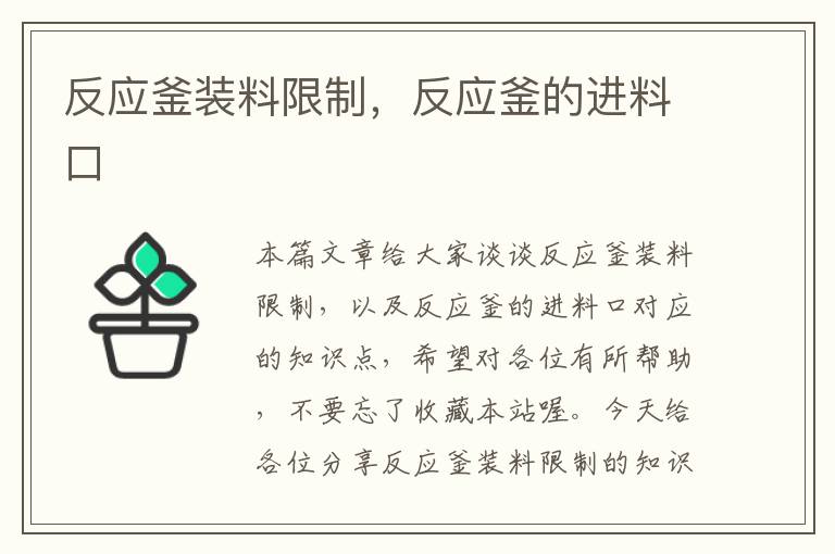 反应釜装料限制，反应釜的进料口