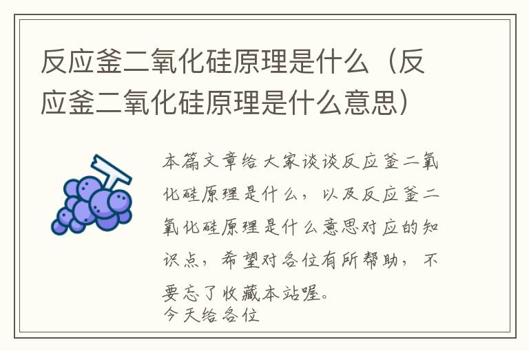 反应釜二氧化硅原理是什么（反应釜二氧化硅原理是什么意思）