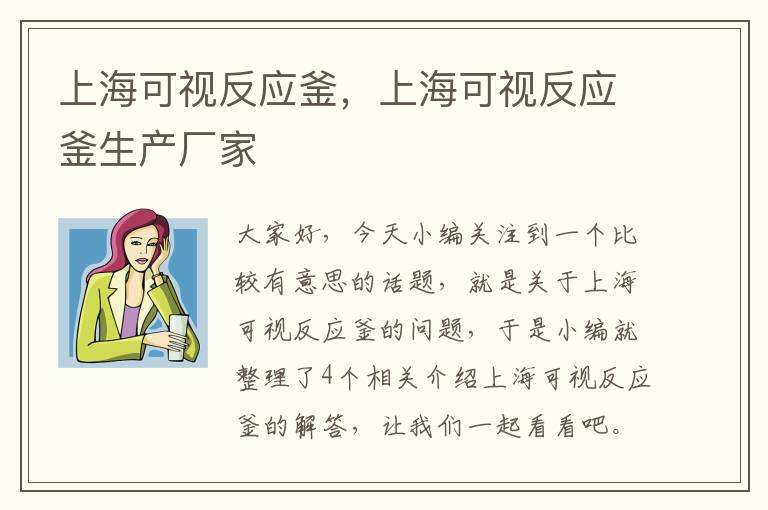 上海可视反应釜，上海可视反应釜生产厂家